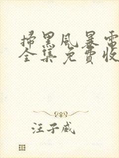 扫黑风暴电视剧全集免费收看20