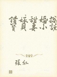 错嫁甜婚总裁的宝贝妻小说完整