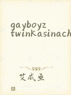 gayboyztwinkasinachinese
