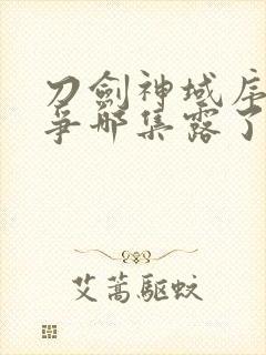 刀剑神域序列之争哪集露了