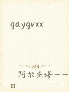 gaygvxx封面