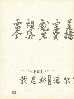 电视剧完美伴侣全集免费播放