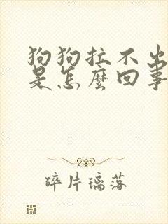 狗狗拉不出来尿是怎么回事封面