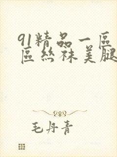91精品一区二区丝袜美腿