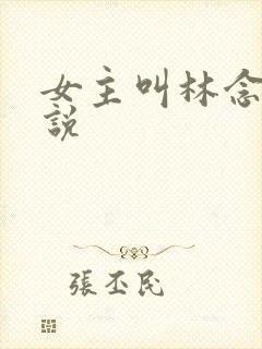 女主叫林念的小说
