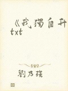 《我独自升级》txt