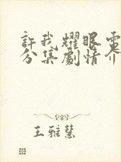 许我耀眼电视剧分集剧情介绍