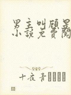 男主叫顾星辰的小说免费阅读封面