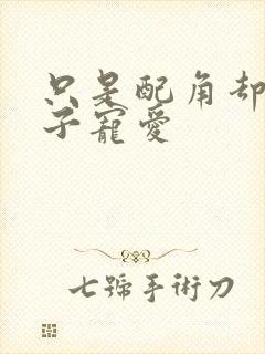 只是配角却被王子宠爱