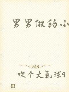 男男做的小说