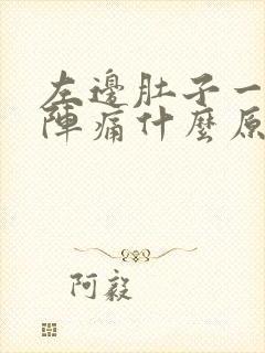 左边肚子一阵一阵痛什么原因