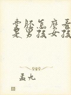 囊胚怎么看出来是男孩女孩