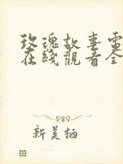 玫瑰故事电视剧在线观看全集免费