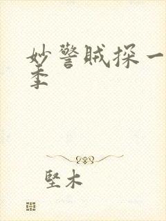 妙警贼探一共几季