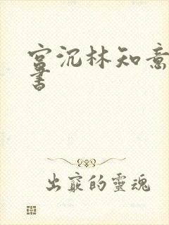 宫沉林知意电子书封面