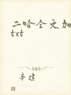 二哈全文加番外txt