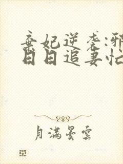 弃妃逆袭:邪王日日追妻忙完整小说