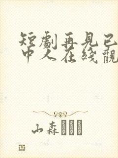 短剧再见已无剧中人在线观看