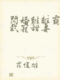 闪婚难离霸道总裁宠甜妻