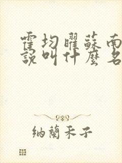 霍均曜苏南卿小说叫什么名字