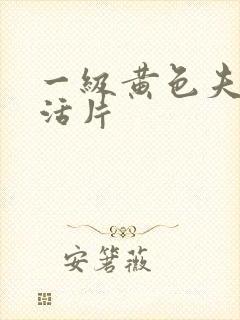 一级黄色夫妻生活片