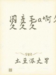 国产毛a啊久久久久久