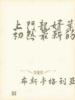 上门龙婿叶辰萧初然最新的