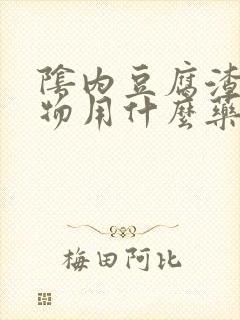 阴内豆腐渣分泌物用什么药封面