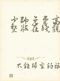 少帅免费高清完整版在线观看封面