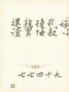 退亲后我嫁给了渣男他叔 小说