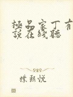 极品家丁有声小说在线听