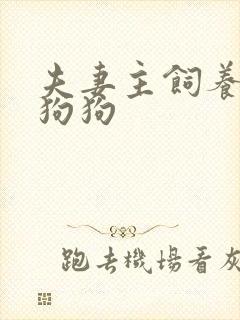 夫妻主饲养的男狗狗