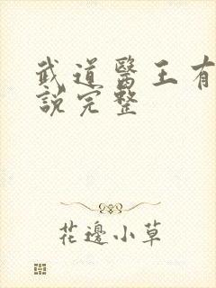 武道医王有声小说完整封面