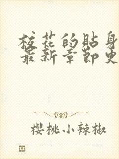 校花的贴身高手最新章节更新列表