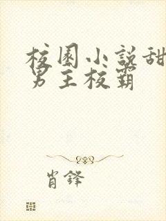 校园小说甜宠文男主校霸封面