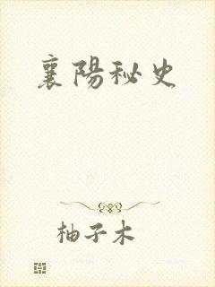 襄阳秘史