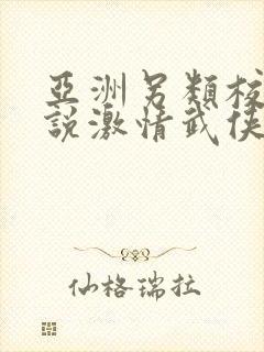 亚洲另类校园小说激情武侠封面