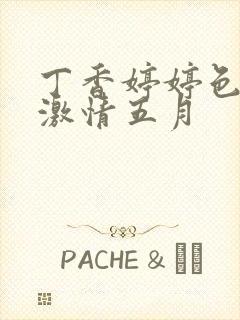 丁香婷婷色综合激情五月封面