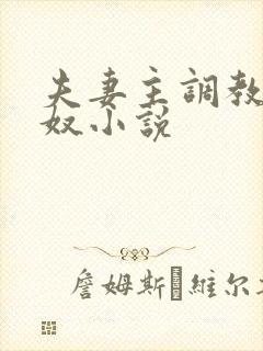 夫妻主调教夫妻奴小说