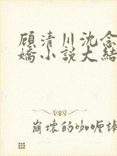 顾清川沈念李娇娇小说大结局