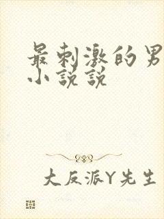 最刺激的男同志小说说