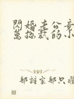 闪婚老公竟是亿万总裁的小说封面