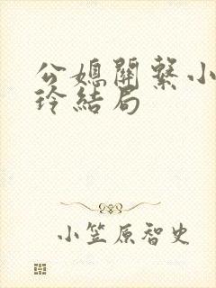 公媳关系小说小玲结局封面
