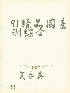 91精品国产亚洲综合