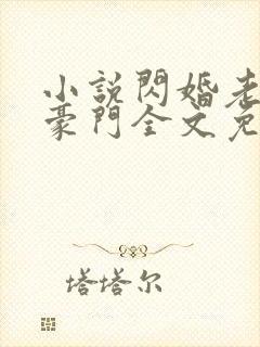 小说闪婚老公是豪门全文免费阅读封面