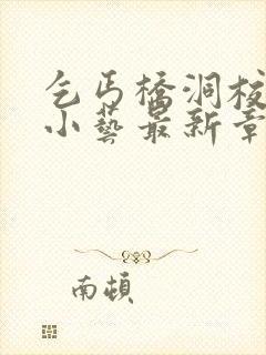 乞丐桥洞校花张小艺最新章节更新情封面