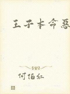 王子本命恶千金封面