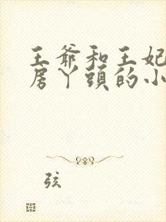 王爷和王妃和通房丫头的小说