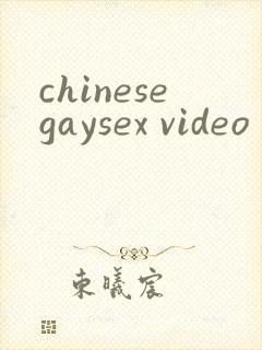 chinesegaysex video封面