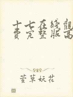 十七在线观看免费完整版高清